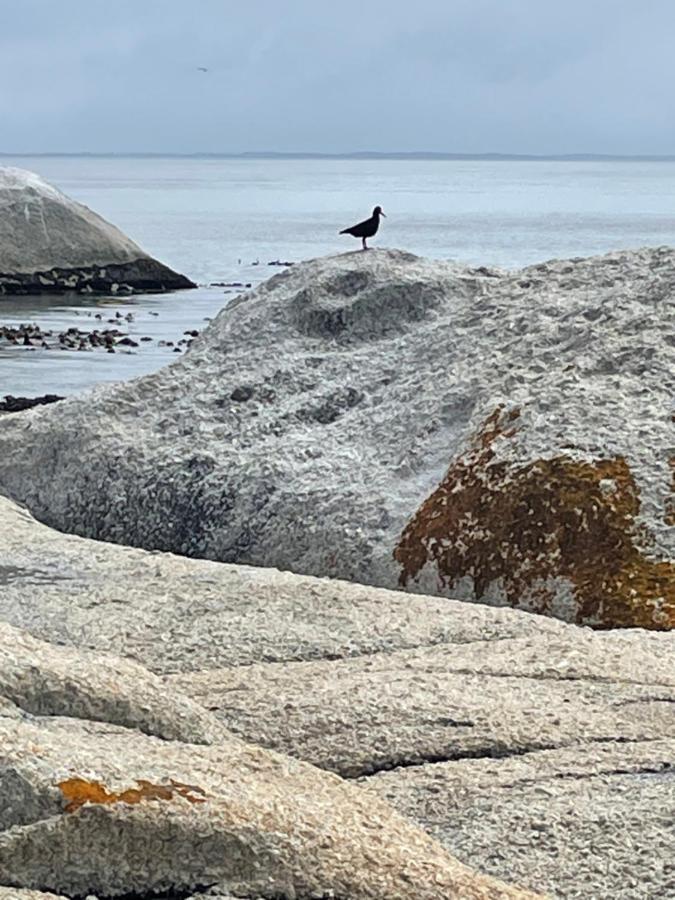 Whale Rock Διαμέρισμα Κέιπ Τάουν Εξωτερικό φωτογραφία